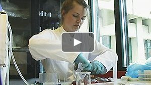 Videoproduktion til universitet